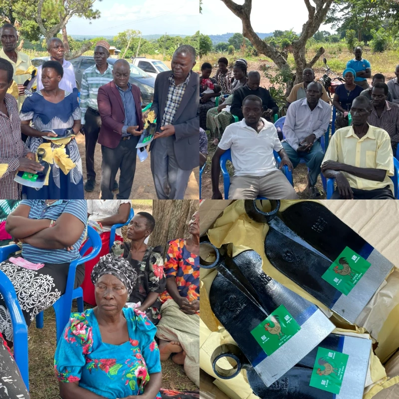 Minister Muyingo launches Phase Two of agricultural support programme in Bamunanika, reaching 2,626 homes - Kampala Media TV News Story