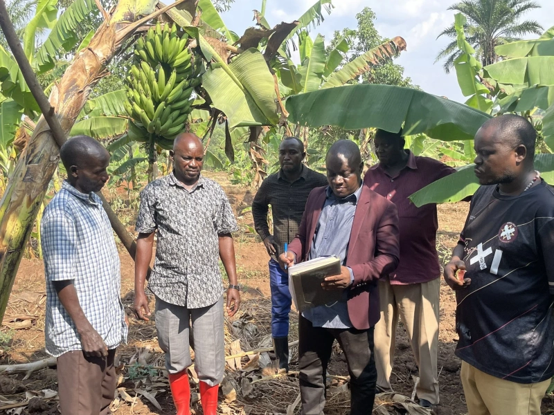 PDM Success Story: Luweero Farmer Earns UGX 800,000 Monthly From Banana Plantation After Investing Parish Development Model Funds