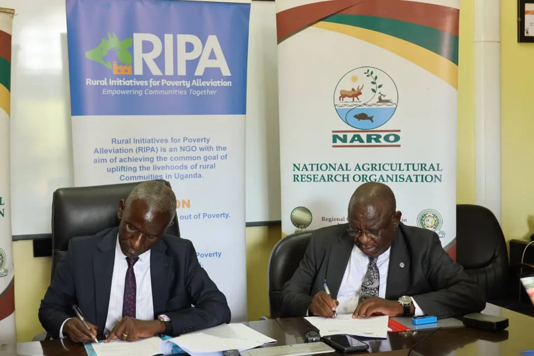 NARO and RIPA Partner to Boost Agricultural Transformation Entebbe.