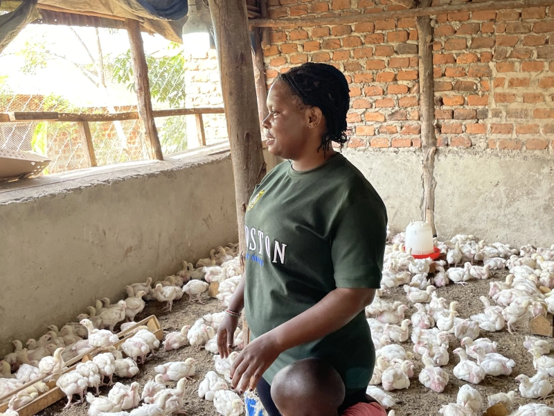 From 100 Chicks to a Thriving Poultry Enterprise: Mariam Nasolo’s PDM Journey - Kampala Media TV News Story