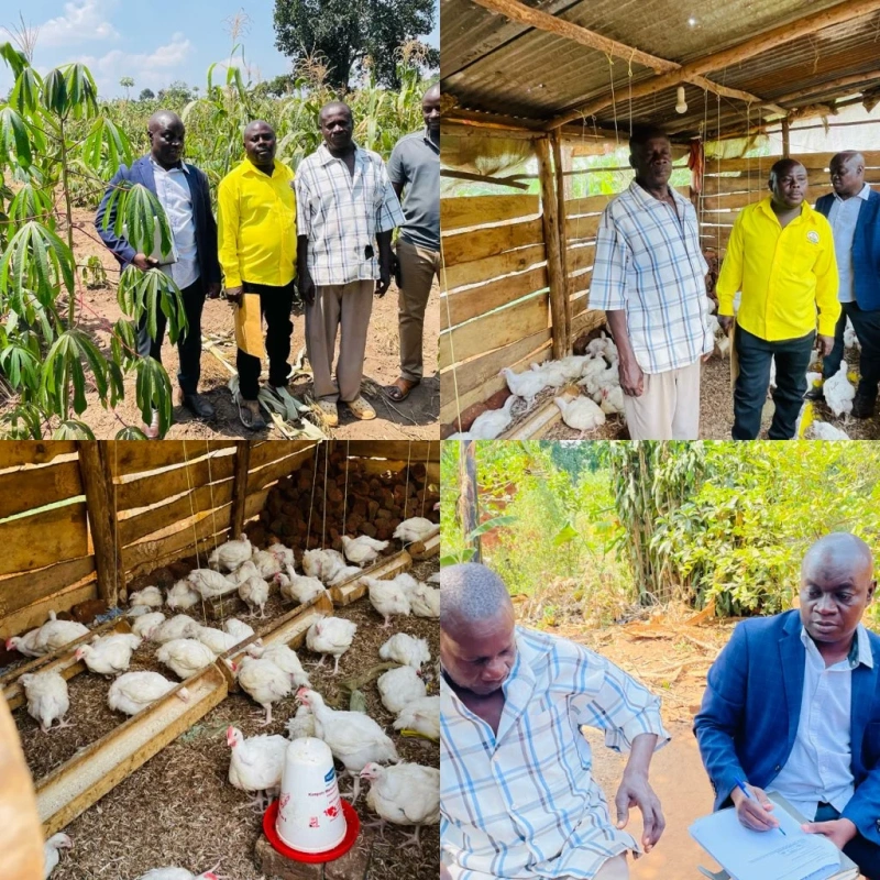 PDM Success: Mr. Okiru Charles Expands into Poultry Farming, Achieves Financial Stability Through Government Support