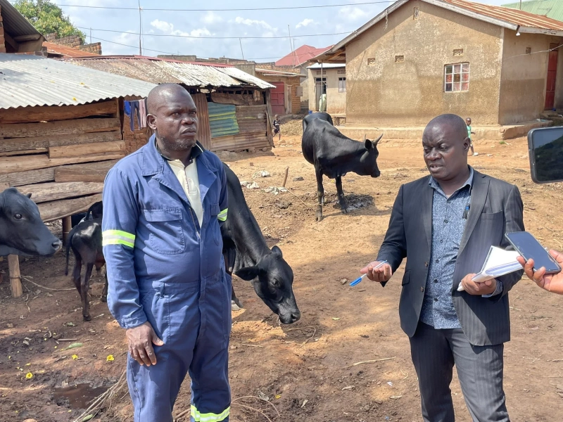 From One Cow to Four: Kavuma Twahah’s PDM Success Story in Bamunanika Sub-county - Kampala Media TV News Story
